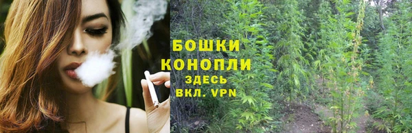 СК Нефтегорск